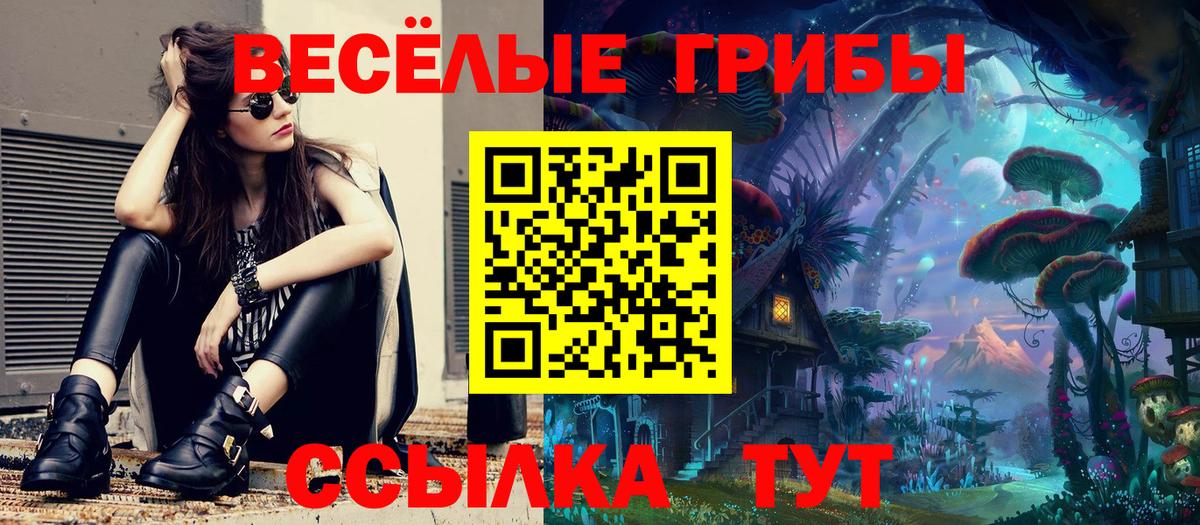 Псилоцибиновые грибы GOLDEN TEACHER Гудермес