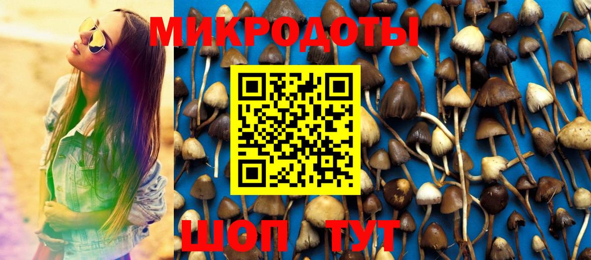 Галлюциногенные грибы ЛСД  Галлюциногенные грибы прущие грибы  Гудермес  Вход с VPN 